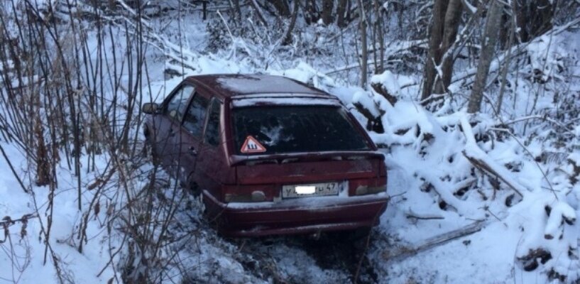 Фото: Арктический спасательный центр Вытегра