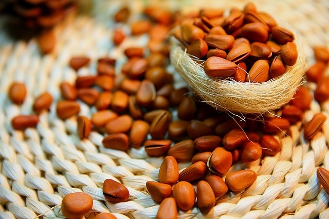 Кедровый орех богат витаминами, минералами, насыщенными жирными кислотами, клетчаткой, сложными и простыми сахаридами.