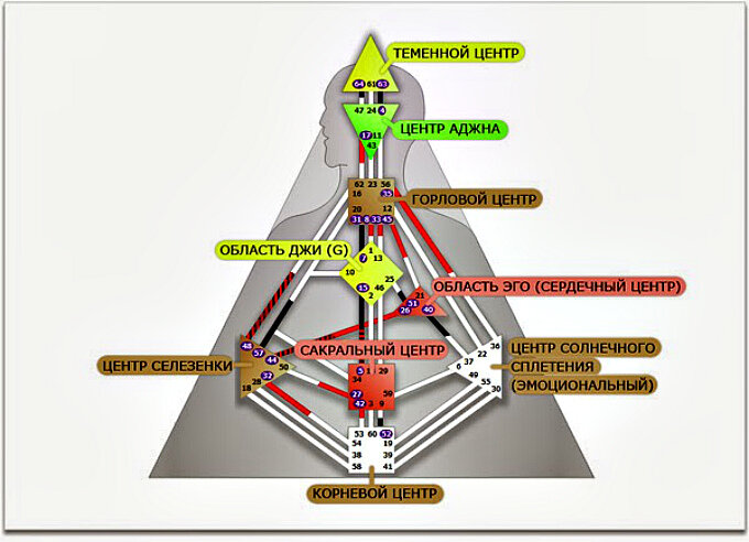 Определенные центры. Энергетические центры человека бодиграф. Дизайн человека центры бодиграфа. Сердечный центр в дизайне человека. Центры в дизайне человека расшифровка.