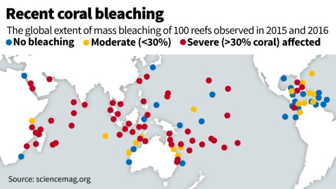 Красные точки на карте мира — критическое обесцвечивание кораллов