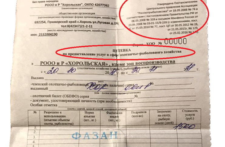 АВТОР СТАТЬИ: КОЗУЛИН АЛЕКСАНДР ВЛАДИМИРОВИЧ