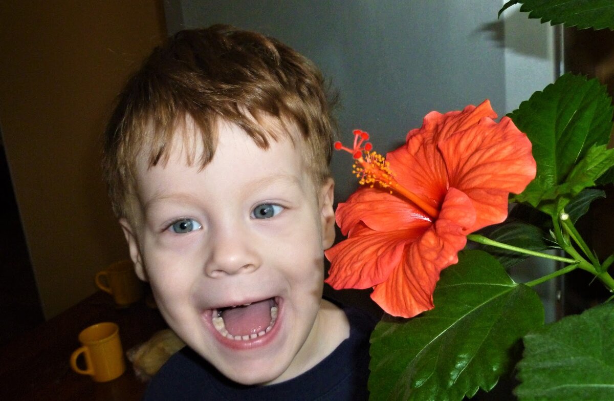 Фото автора.