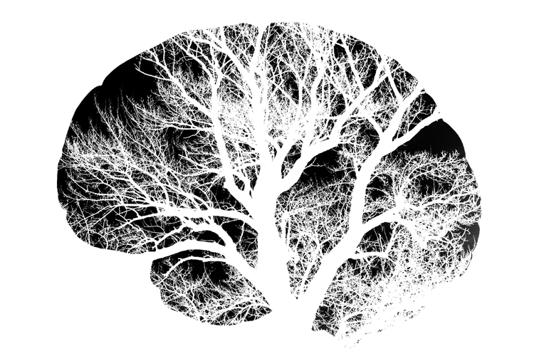 фото med.vesti.ru