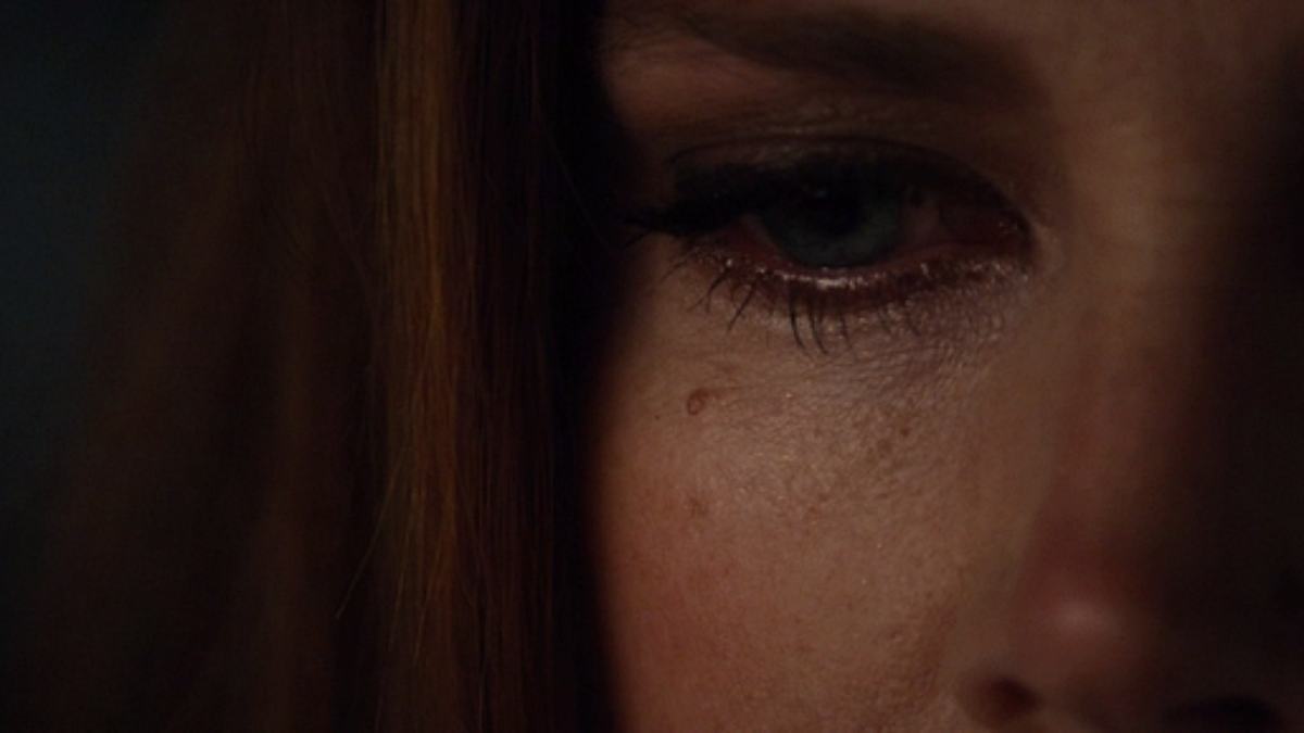 Кадр из фильма «Ночные животные»