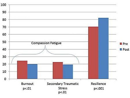 
Self-Care Strategies for Professional Development: Transcendental Meditation Reduces Compassion Fatigue and Improves Resilience for Nurses,. Jennifer (Rheingans) Bonamer, PhD: Catherine AQUino-Russell: PhD. DOl: 10:1097/NND. 0000000000000522
