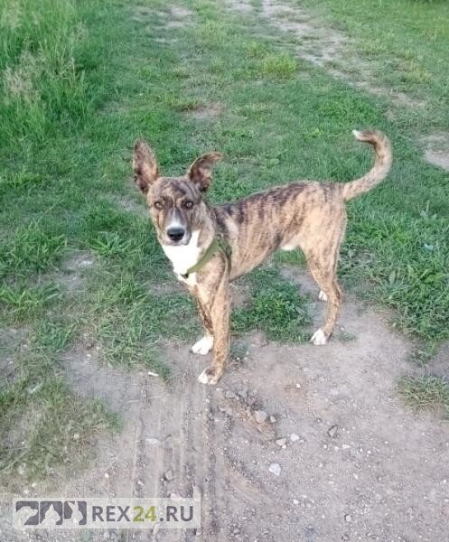 Фото: МВД России по Приморскому краю