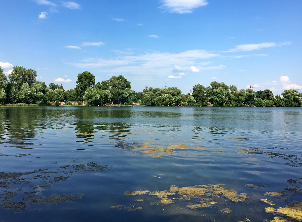 Белое озеро Косино