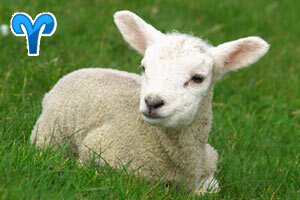 Завтра звезды гороскопа обещают Овну отличный день для любых начинаний! Практически все, за что он возьмется, со временем сулит ему прибыль и успех. Так что смело стройте планы, продвигайте новый проект, ставьте перед собой новые цели. Единственное, что может помешать завтра Овну, – это завистливая критика со стороны. Прислушиваясь к ней, он рискует поддаться сомнениям и потерять уверенность в себе.