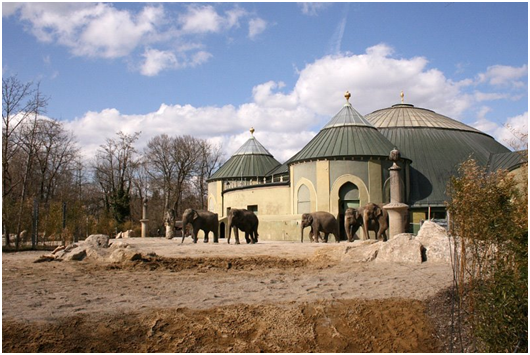 Слоновник в Мюнхенском зоопарке. Здесь даже слонята рождаются