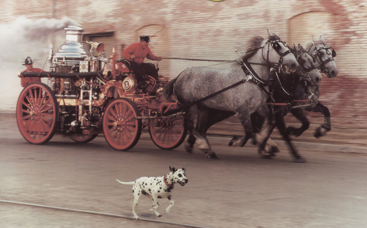 Фото из интернета