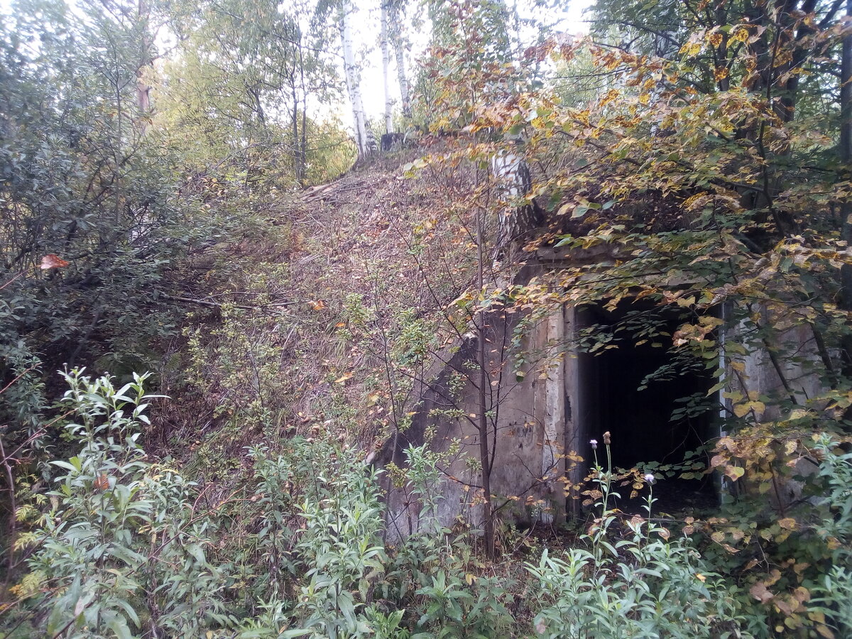 Крупно повезло  Нашли кучу бункеров в лесу