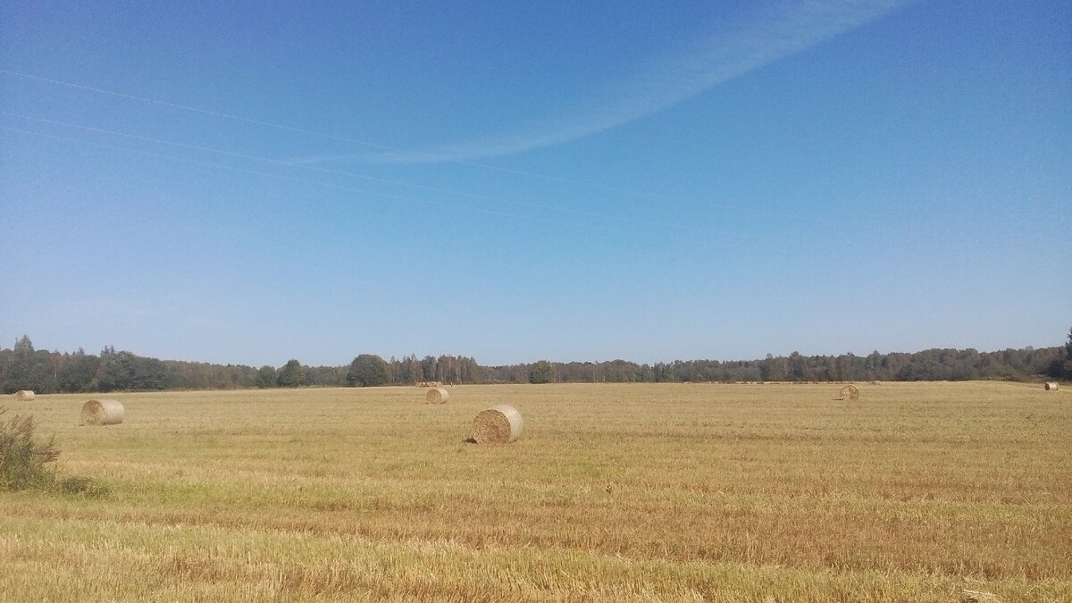 автор фото Александр Г.