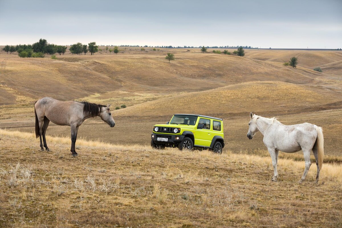 Тест-драйв Suzuki Jimny: Wrangler за «полторашку» | Somanyhorses | Дзен