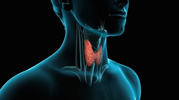 Фото: Calend.online/holiday/vsemirnyj-den-shitovidnoj-zhelezy/