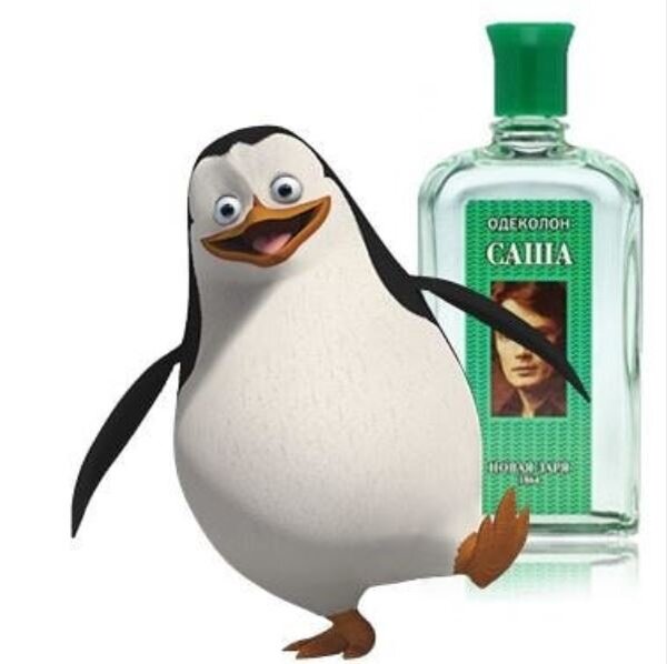 Саша Савельев