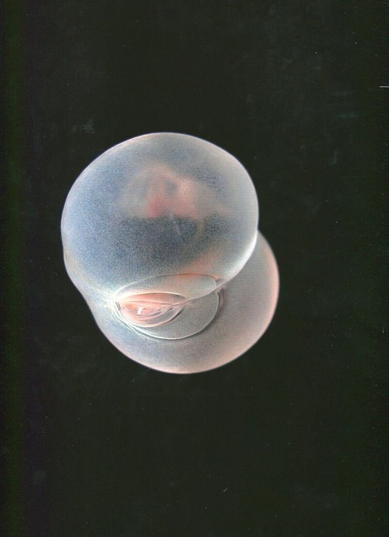 Источник: yandex.ru