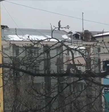 Фото: кадр из видео Instagram @sakhalin_reg