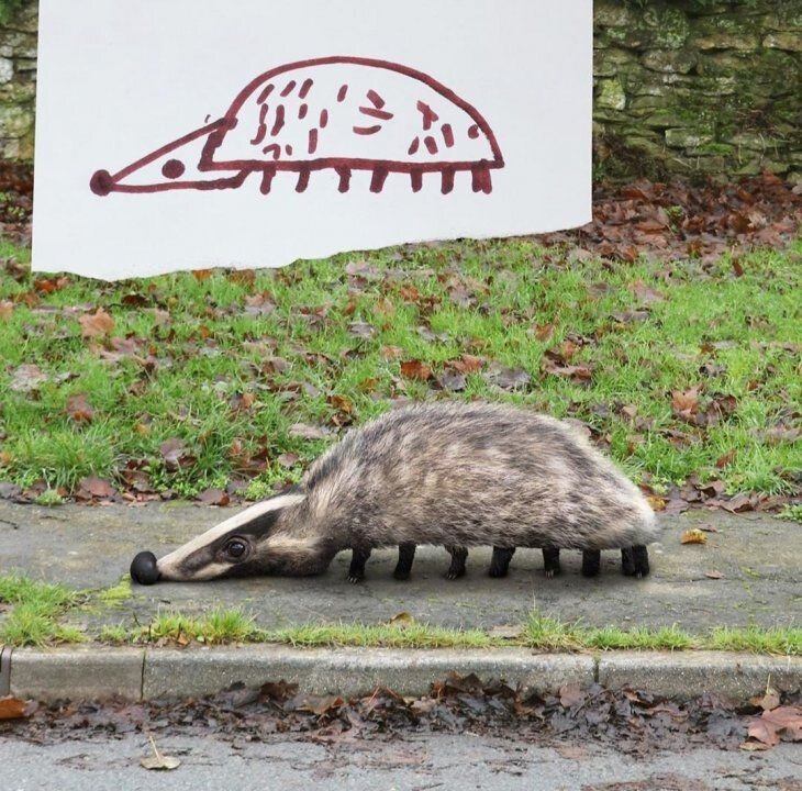 Сколько ножек у барсука))