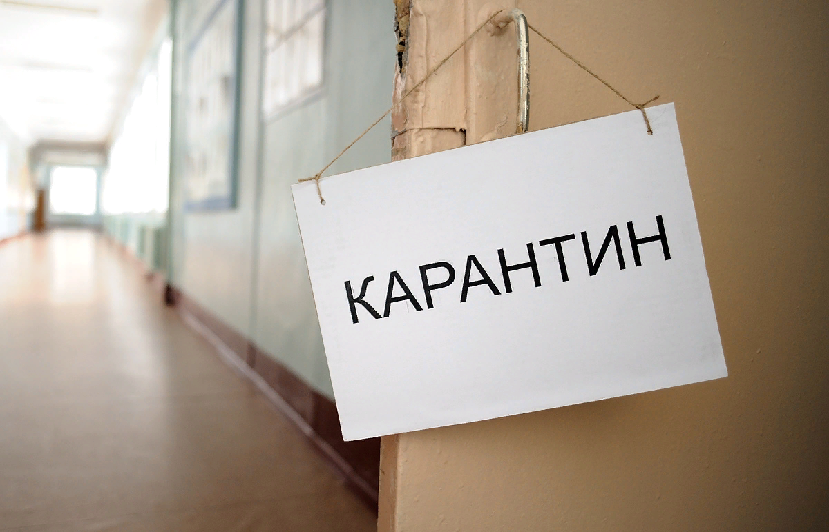 Порой люди очень хотят отдохнуть от учёбы, работы и других дел, но когда появляется такая возможность не все знают чем себя занять. В этой статье я хотела бы рассказать о том, чем можно заняться не только во время карантина, но и в свободное время.