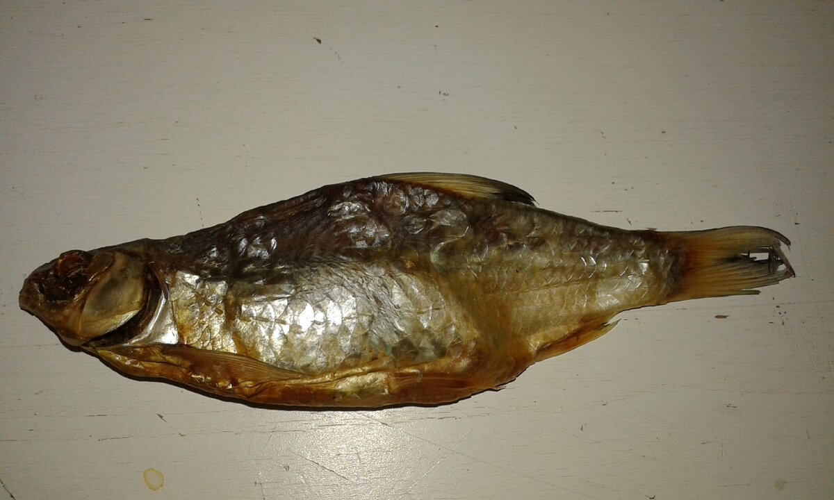 Постукивание по столу не помогло. фото автора