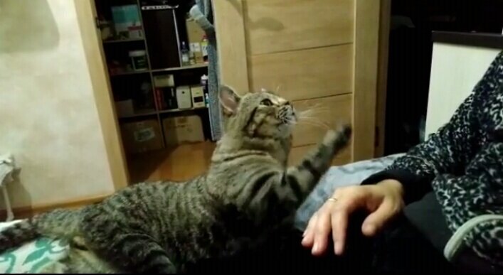 скрин из видео.