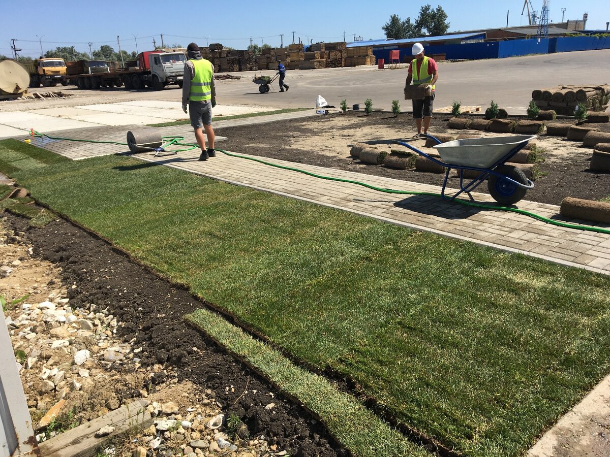 Рулонный газон под ключ