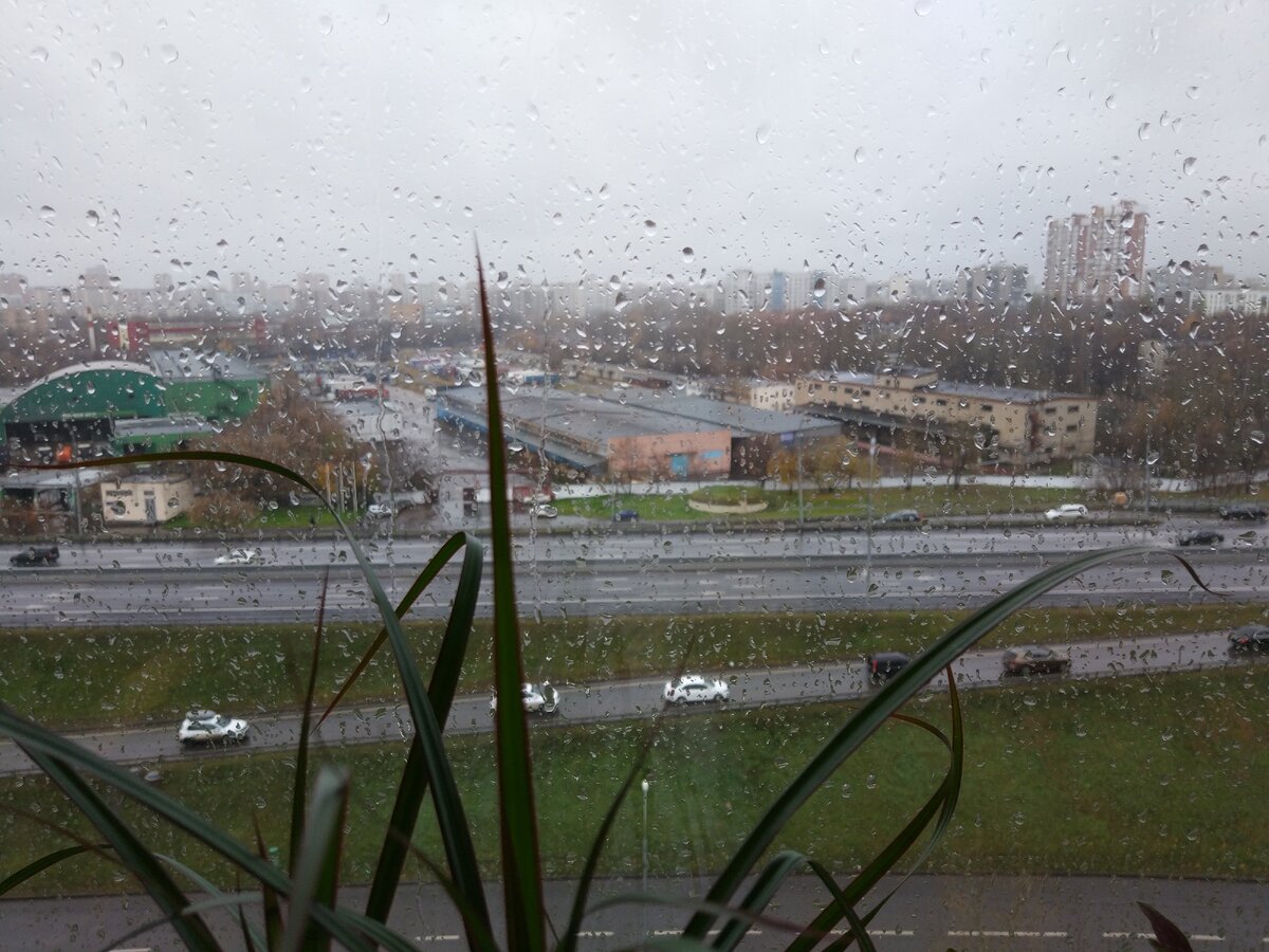 Моё утро. Окно моё. Цветок сына. Фото моё.