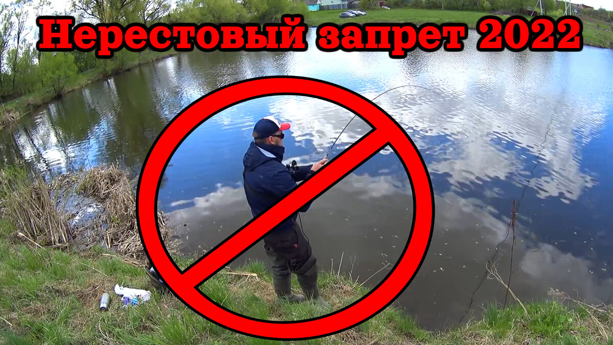 22 марта по 1 июня в водоемах-охладителях Шатурской и Электрогорской ГРЭС, а с 1 апреля по 10 июня – на всех остальных рыбохозяйственных водоемах.