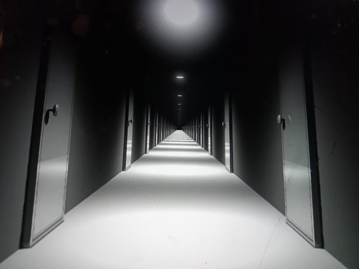 Фото автора сфотал монитор