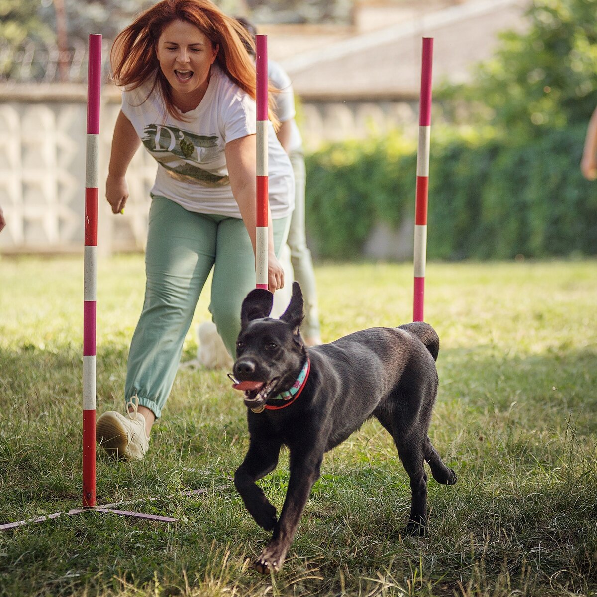 Обучение в процессе!