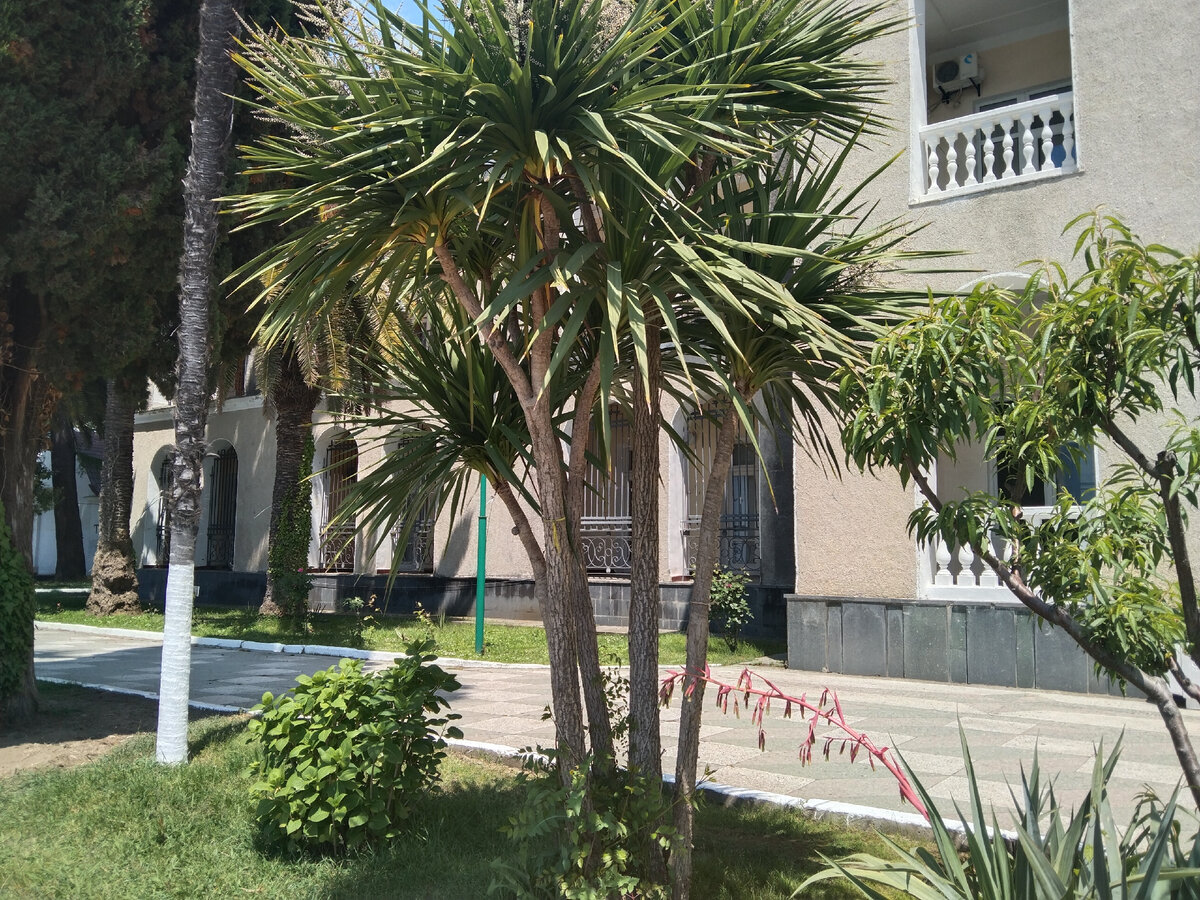 Вид с берега на Генеральский корпус