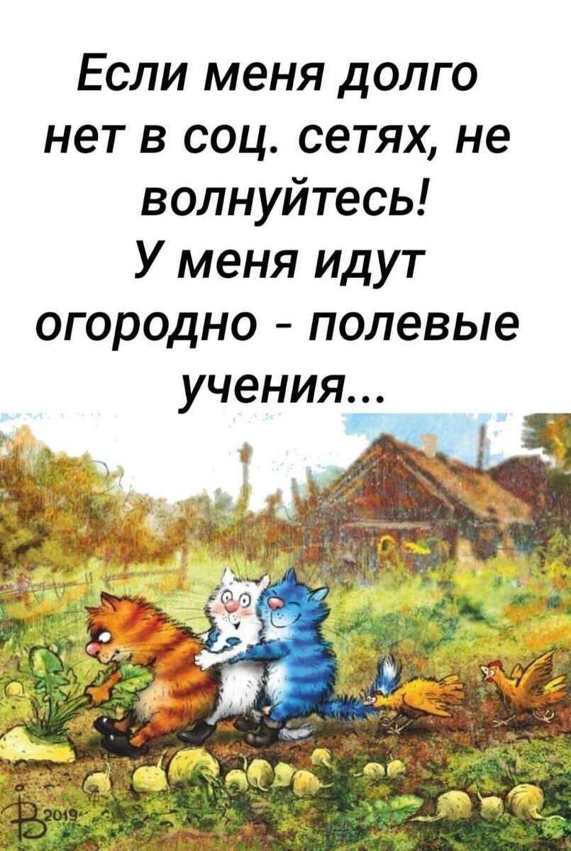 Картинка с сайта Одноклассники