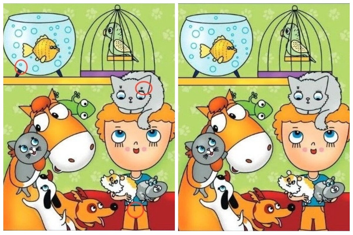 Коллаж автора. Изображение заимствовано из Яндекс.Картинки