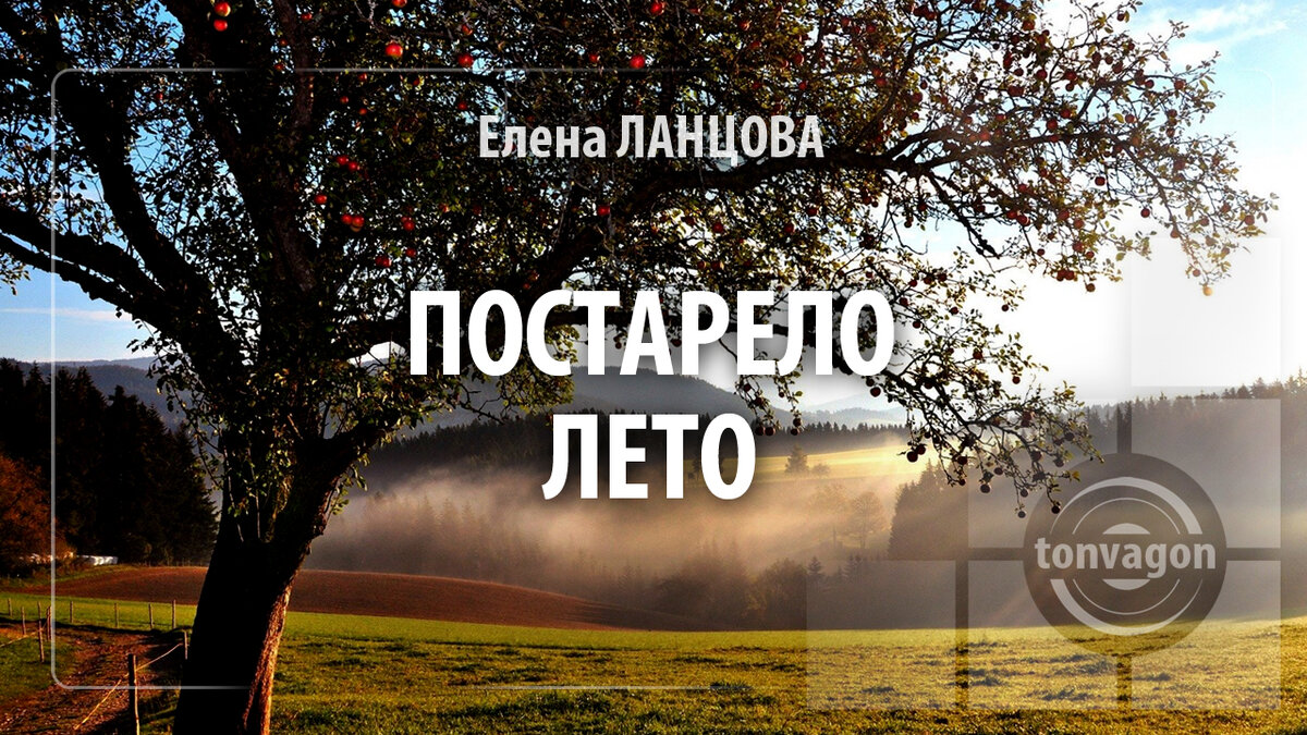 Стихотворение участвовало в конкурсе проекта ТОН-ВАГОН