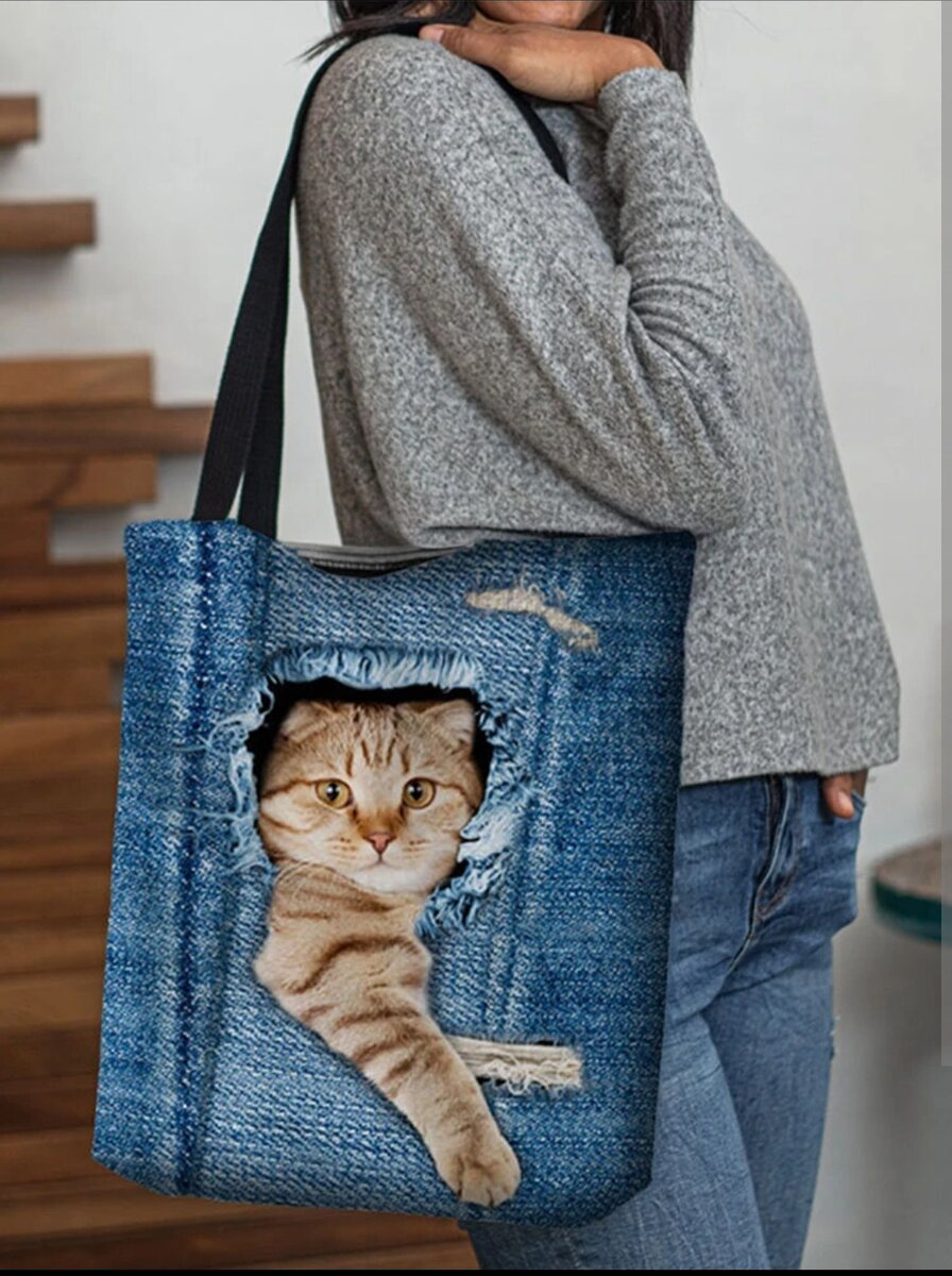 Котик спокоен