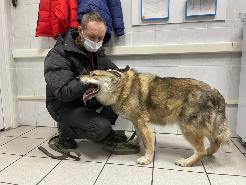 В Перми с Пиратом