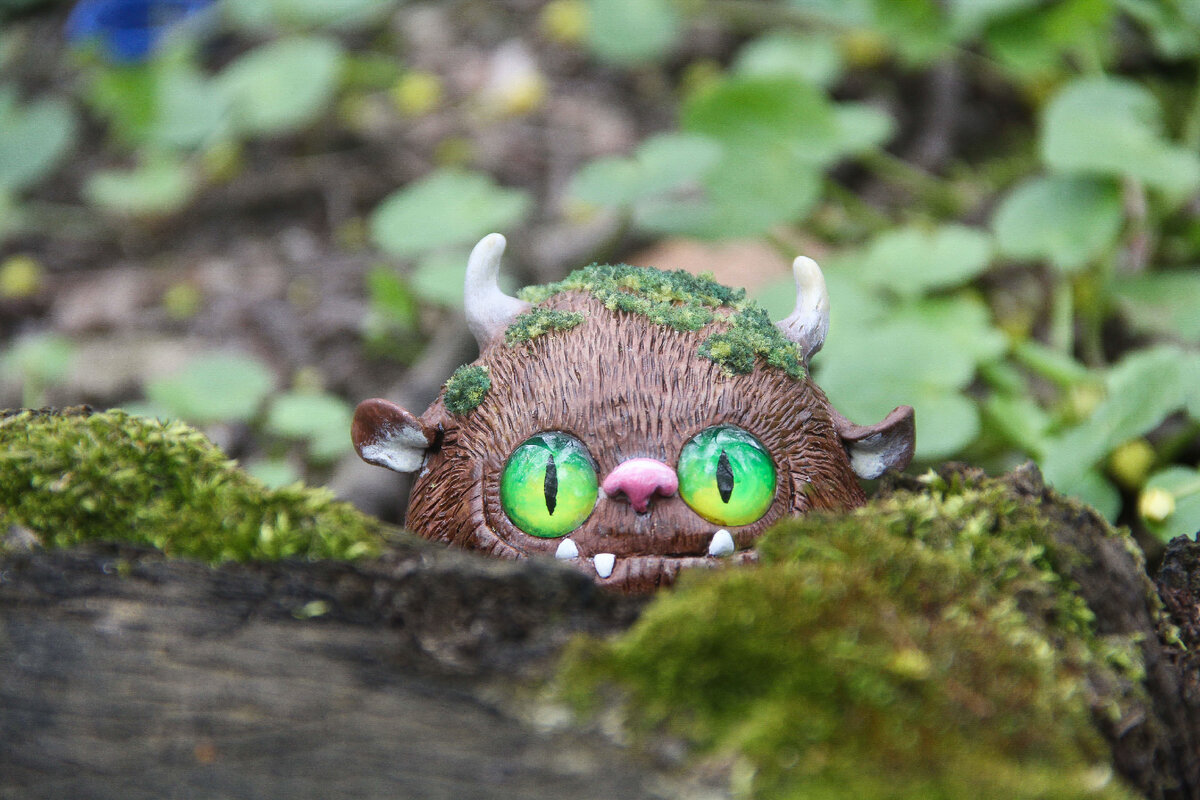 картинка из интернета