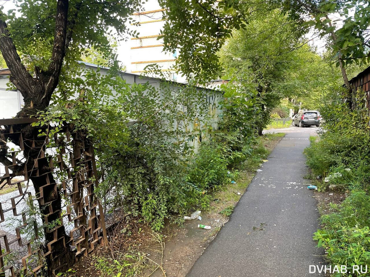    Так территория выглядела до реализации Гошей проекта