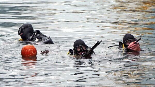   © Sputnik / Игорь Маслов