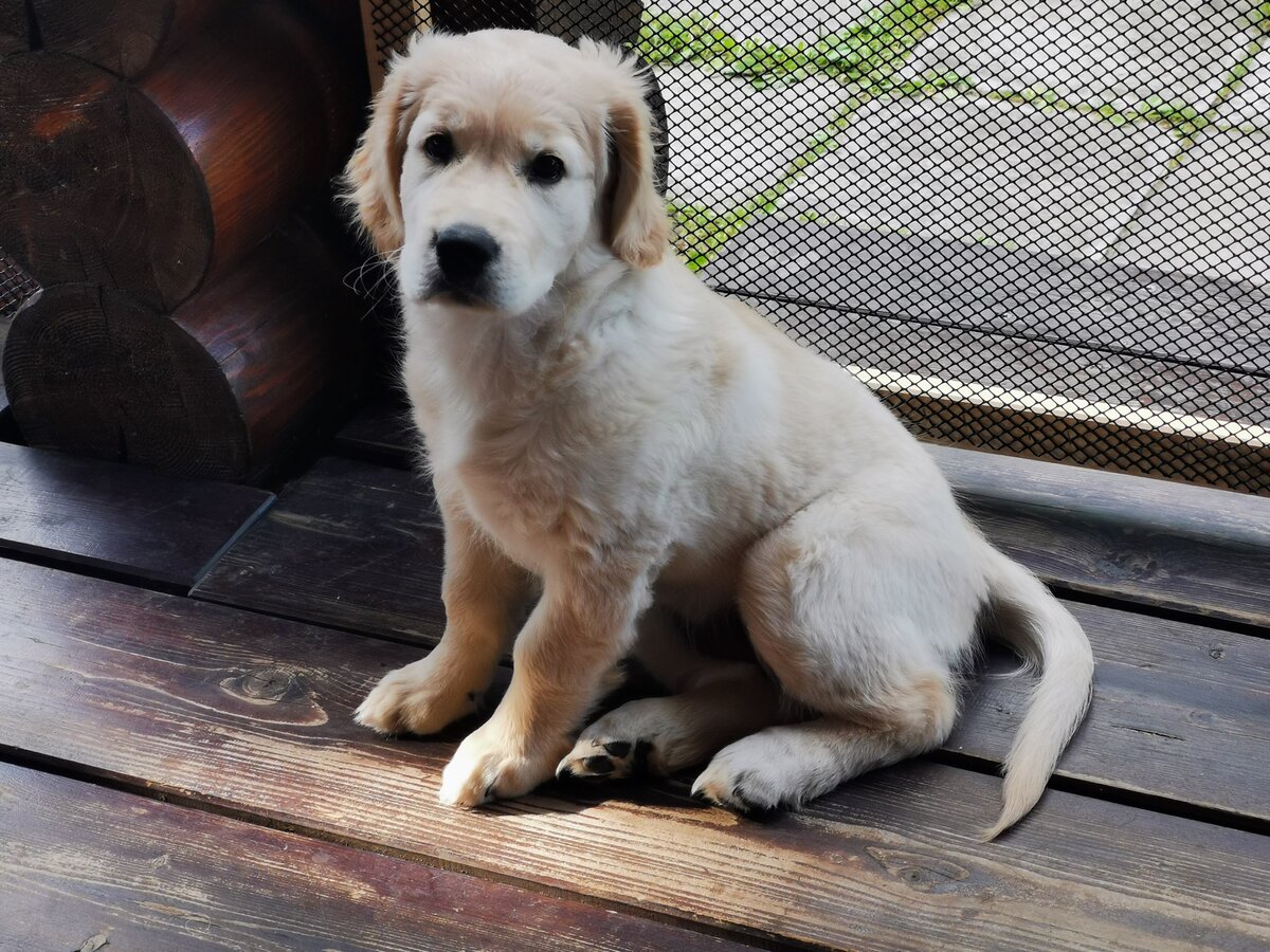    Пока сидим за решеткой)))