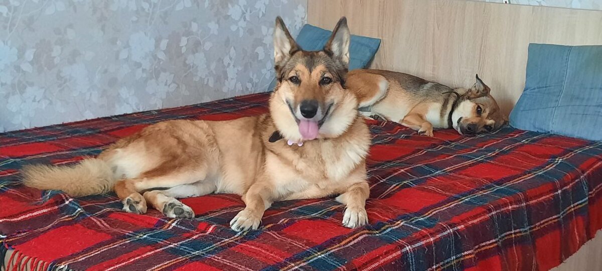 Теперь они всегда вместе