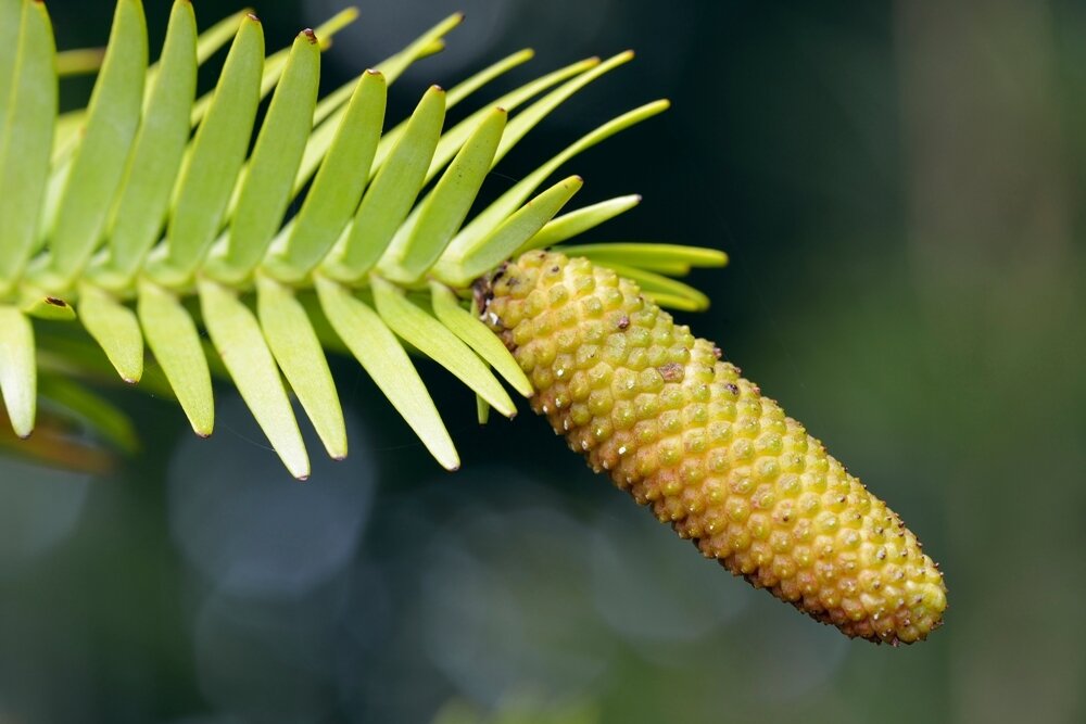     Фото: Shutterstock