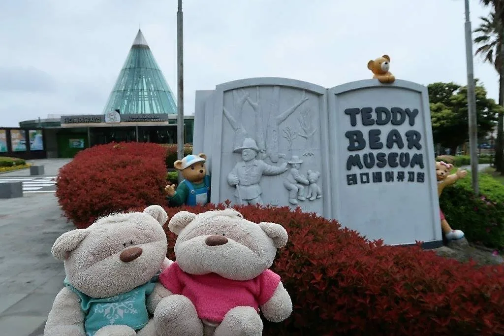 Bear museum. Teddy Bear Museum Jeju. Свиньи острова Чеджу. Teddy Jeju korean. Арт мьюзем оф Чеджу.