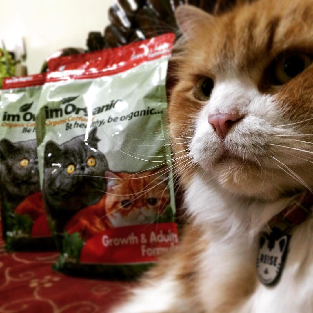 Источник: https://pixabay.com/