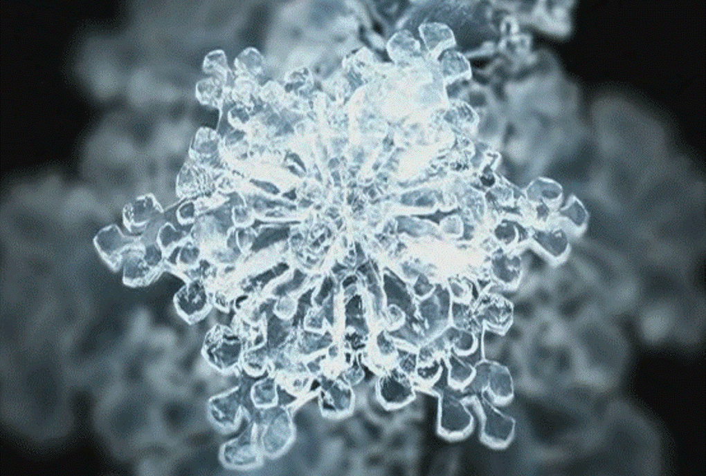Крещенская вода при увеличении под микроскопом. Есть ли еще что-нибудь прекраснее? 