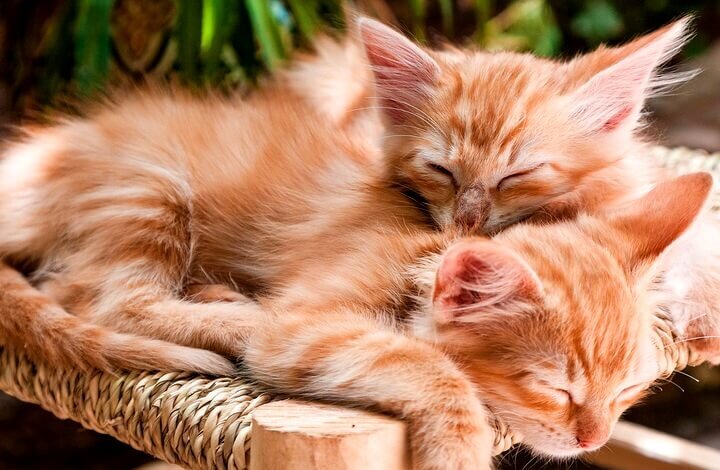 

Чтобы вы не запутались, напоминаем: