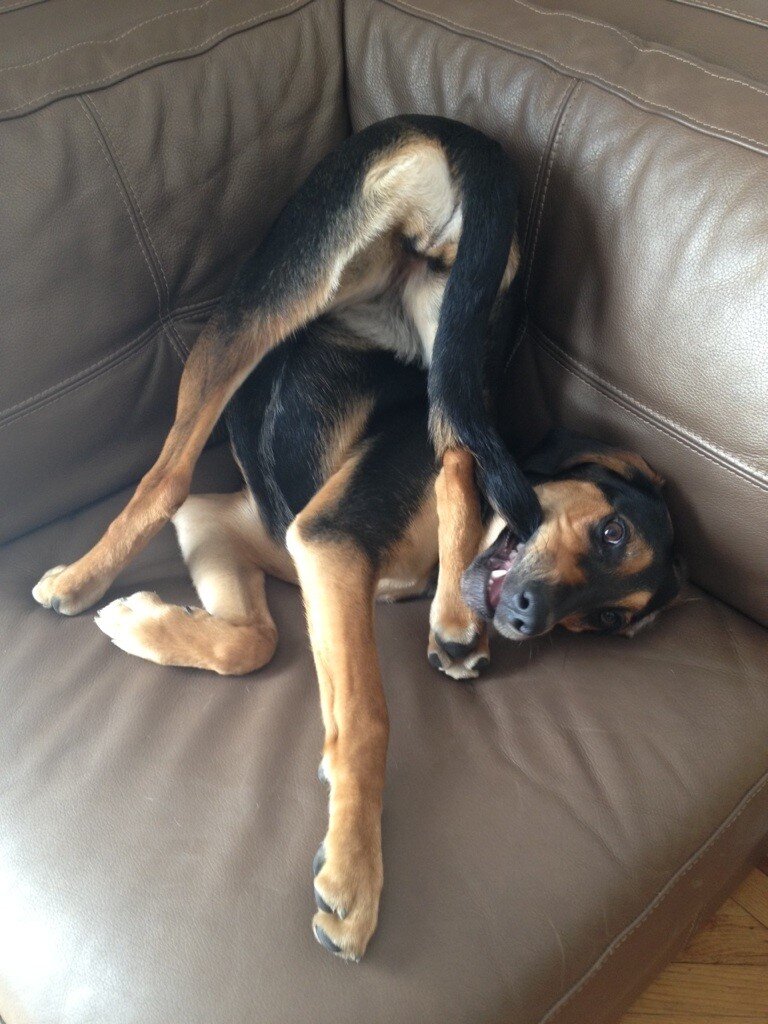 Источник фото: https://1jux.net/scale_images/329777_fb.jpg