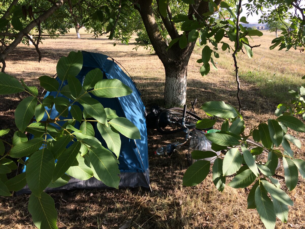 Удачная установка палатки — она под тенечком (фото автора)