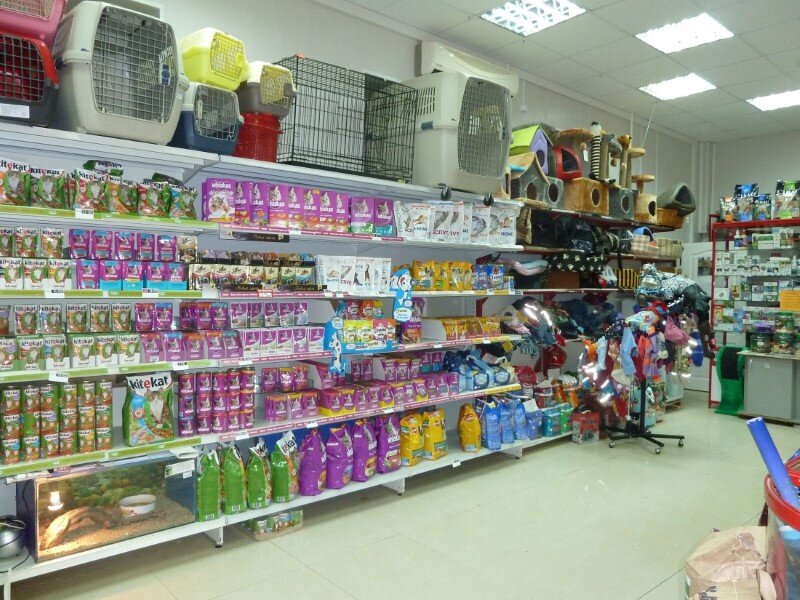 Бизнес-идея: магазин для животных | ЗверЮга - мир животных | Дзен