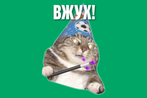 Кот вжух картинка